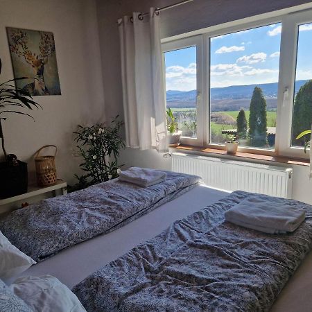 Panorama Apartman Pilisszanto Apartment Екстериор снимка